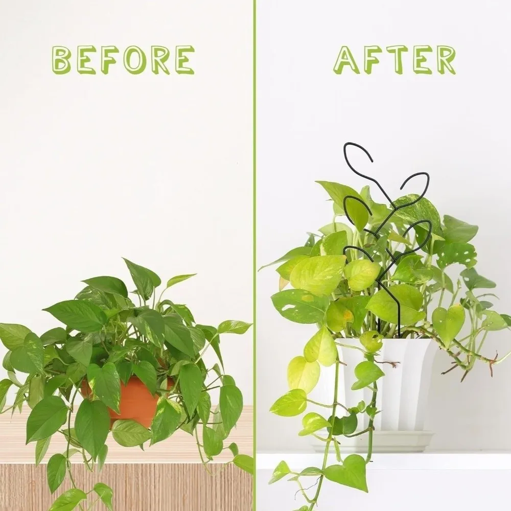 Iron Plant Climbing Frame Creative Fixed Stake Climbing Vine Flower Stand Vertical Growing Plant Support Frame Home Decor