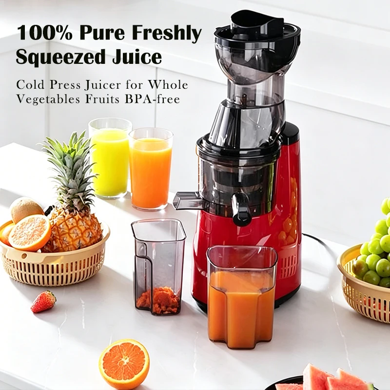 Cold Press Juicer - Estrattore di succo automatico 220V per