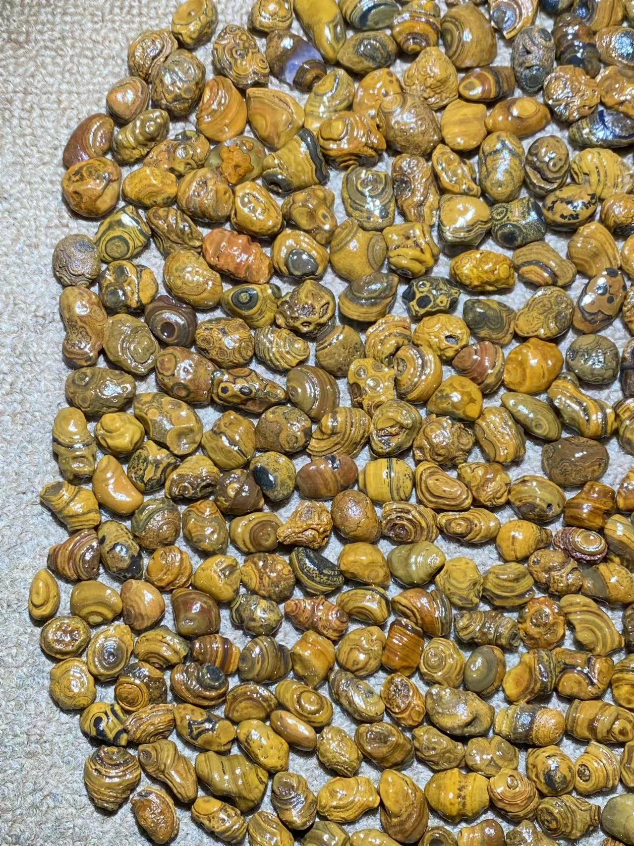 277pcs/lot boutique natural three-dimensional relief surface coin eye stone loose beads wholesale Gobi agate grain Pretty rare