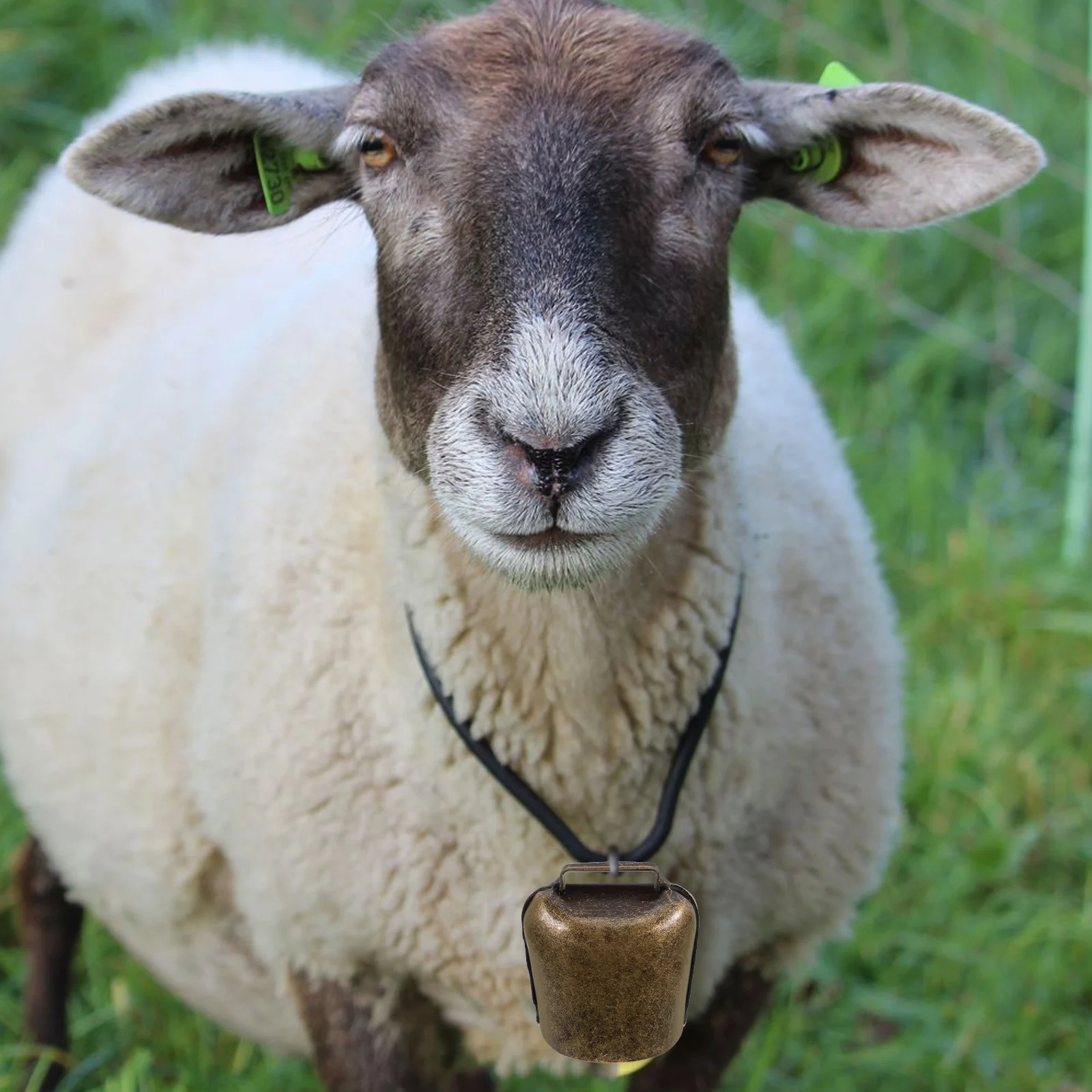 

2Pcs Cattle Sheep Bells Grazing Supplies Anti lost Iron Farming Accessories Durable Smooth Surface Long Distance Sound Pet