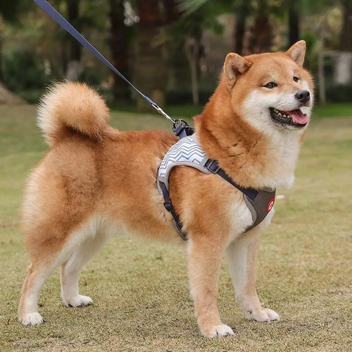 

Breathable Safety Traction Halter Vest Outdoor Walking Small Dog Dog Necklace Pet Harnesses Leash Pet Supplies Pet Collar Puppy