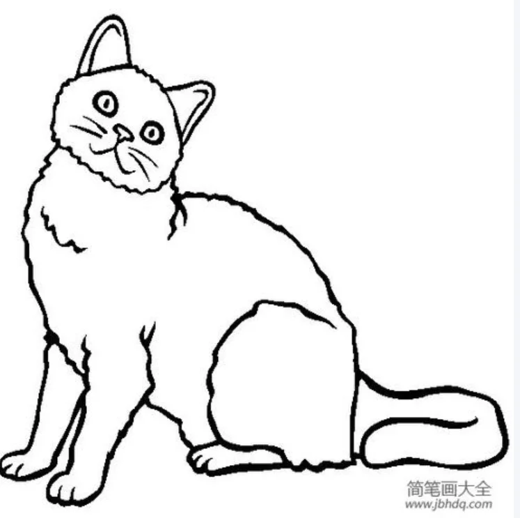 Personalized Custom Cute Kitten Car Film Vinyl Decal Bumper Window Trunk Decorative Car Sticker