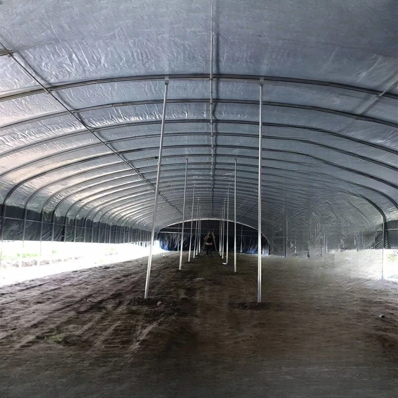 โครงสร้างโครงกระดูกเรือนกระจกการเกษตรขนาดใหญ่ที่มีประสิทธิภาพพืชเรือนกระจกชั้นเดียวปลูกเหล็กวัสดุอลูมิเนียม