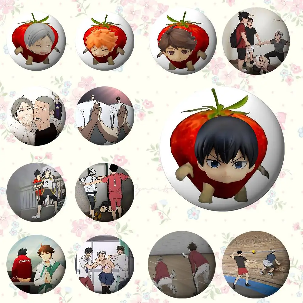 أمين H-Haikyuu شارات صفيح لينة زر دبوس بروش شارة معدنية مخصصة مجوهرات اكسسوارات قبعة حقيبة التلبيب