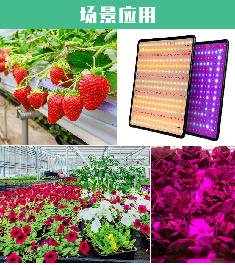 Latest Growing Lamps Led Full Spectrum Plant Bulb Greenhouse Indoor Plant Grow Light EU/AU/UK/US plug Multiple colors available