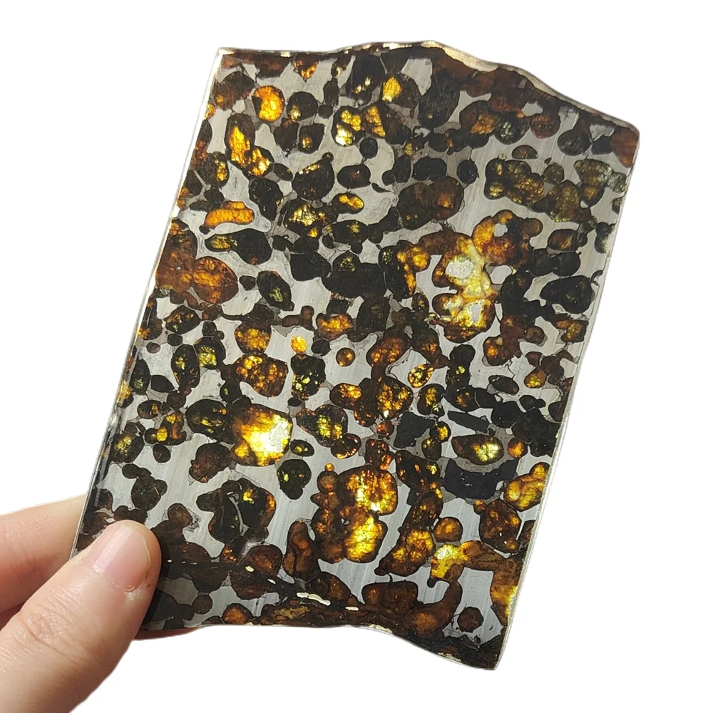 

Sericho Kenya Olive Meteorite Specimen Natural Meteorite Material Slice Olive Meteorite Collection Gift