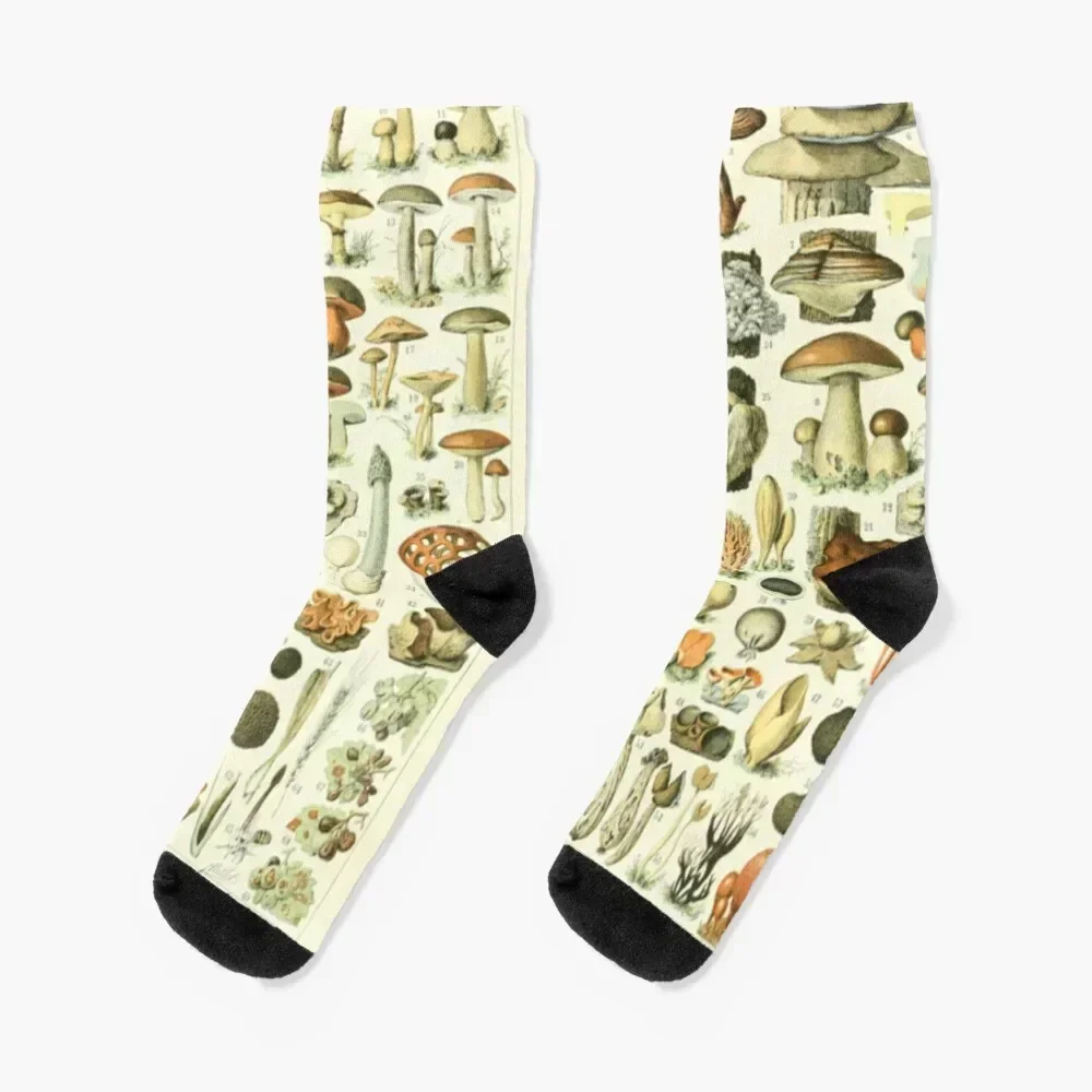 Wild Mushroom Chart Socks heated Stockings man hiking Socks Women's Men's