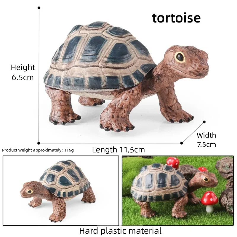 Oenux Simulations-Schildkröten-Set: Alligator, Galapagos-Schildkröte, Chinesische Weichschildkröte Figuren und Puppen – Detail 25