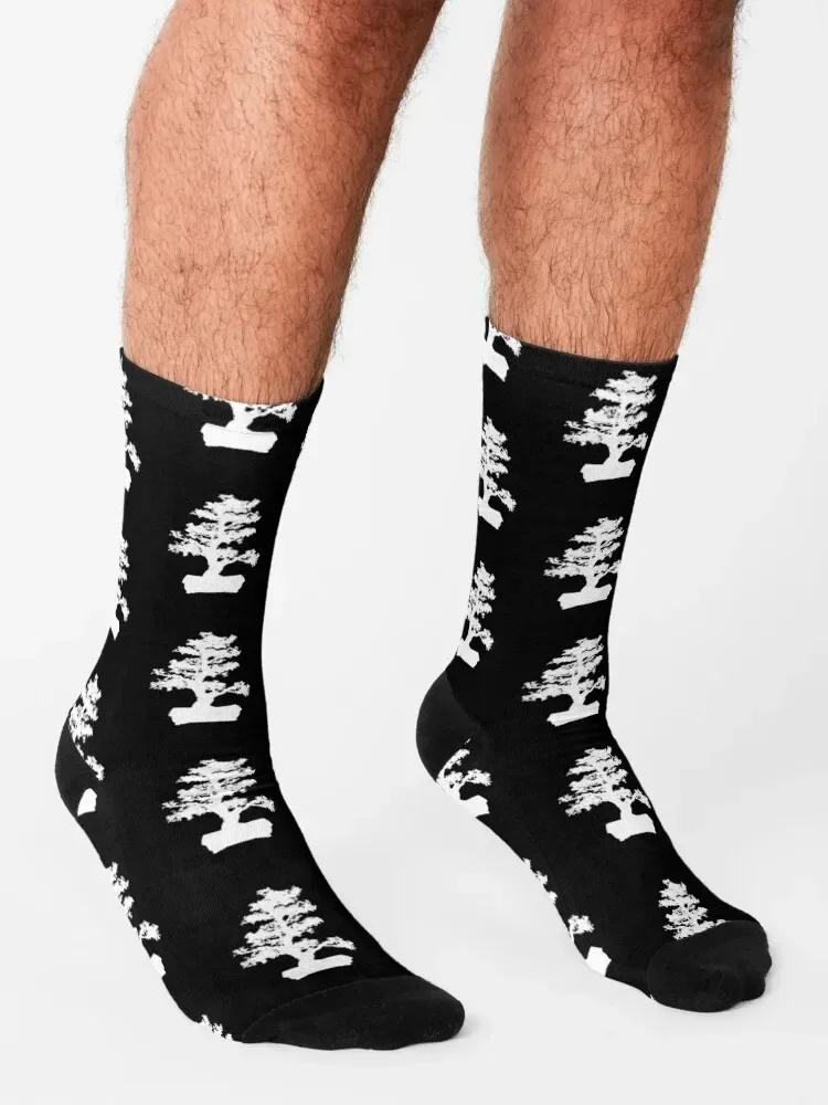 Non-Slip Bonsai Tree Socks para homens e mulheres, moda Gym Socks