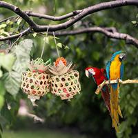 Hanging Bird Toys Exercise Bird Chewing Toys for Parakeets Budgies Macaws