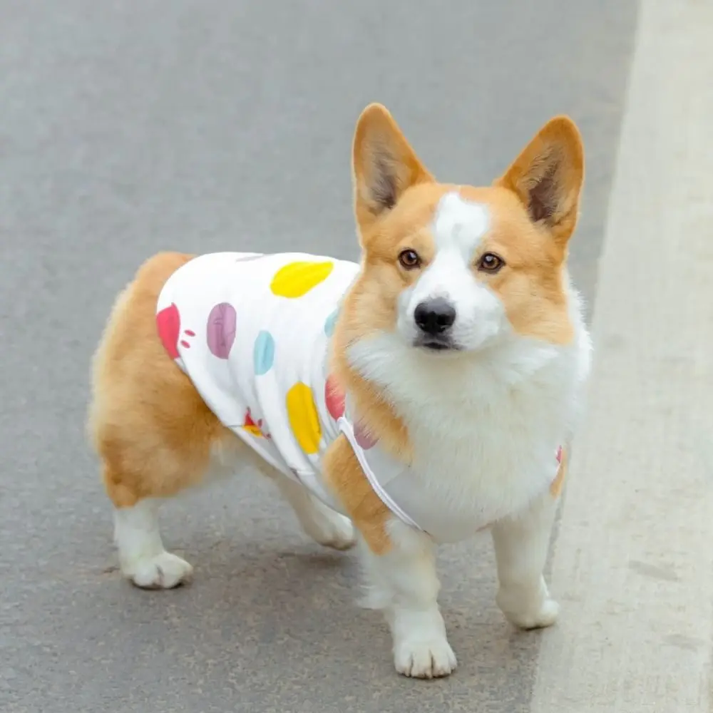 

Cat Vest Creative Cute Dog Clothes Animal Shaped Cartoon Small Dog T-shirt Soft Colorful Pet Coat Vest Pet Supplies