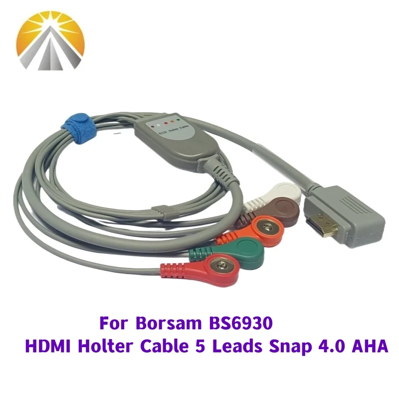 Compatible for Holter Borsam BS6930 iTengo CV200 CV1200 ECHO60 5 Leads or 10 Leadwires ECG Holter Cable With Snap 4.0 Type AHA