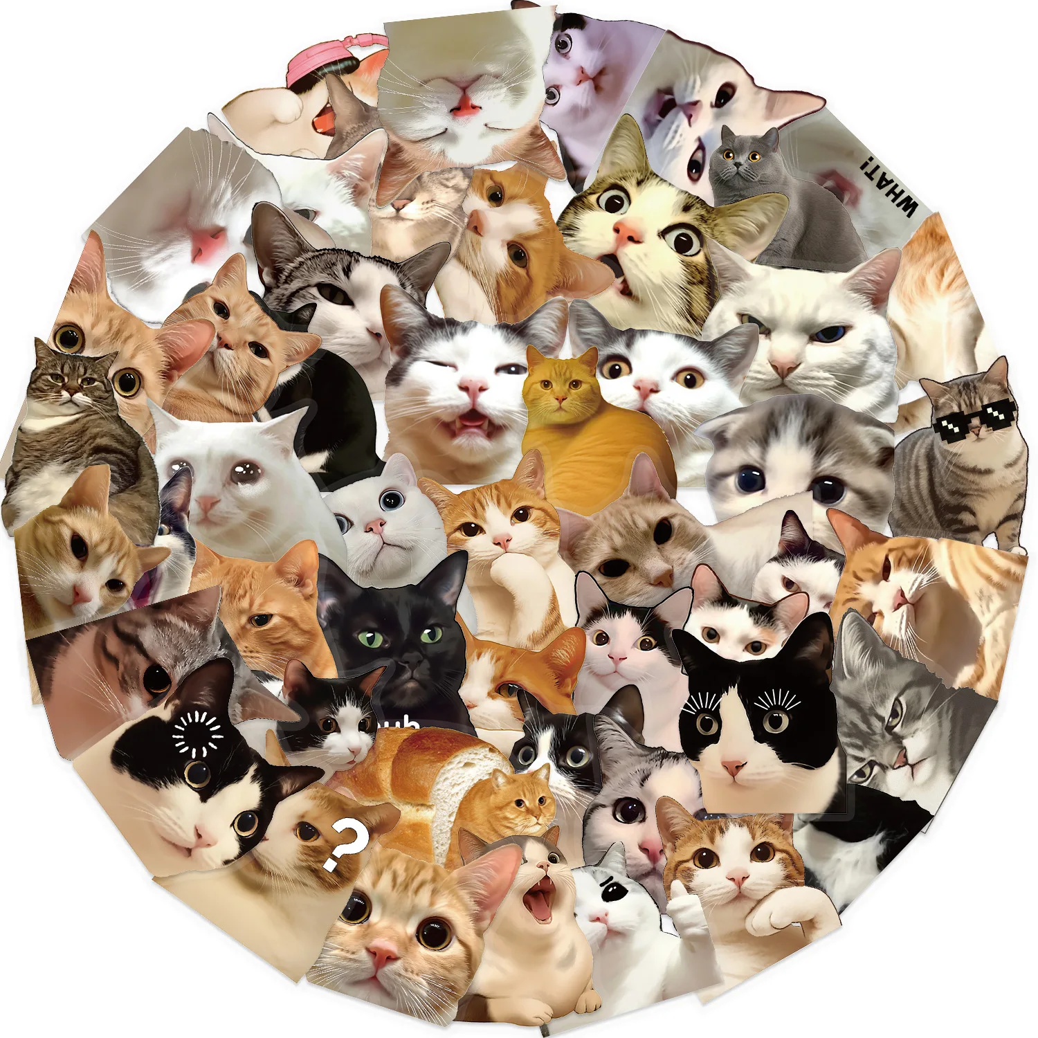 50PCS Cute Funny Cat MEME Animals Graffiti Transparent Stickers Phone Guitar Laptop Notebook Suitcase Cup Waterproof Sticker Toy