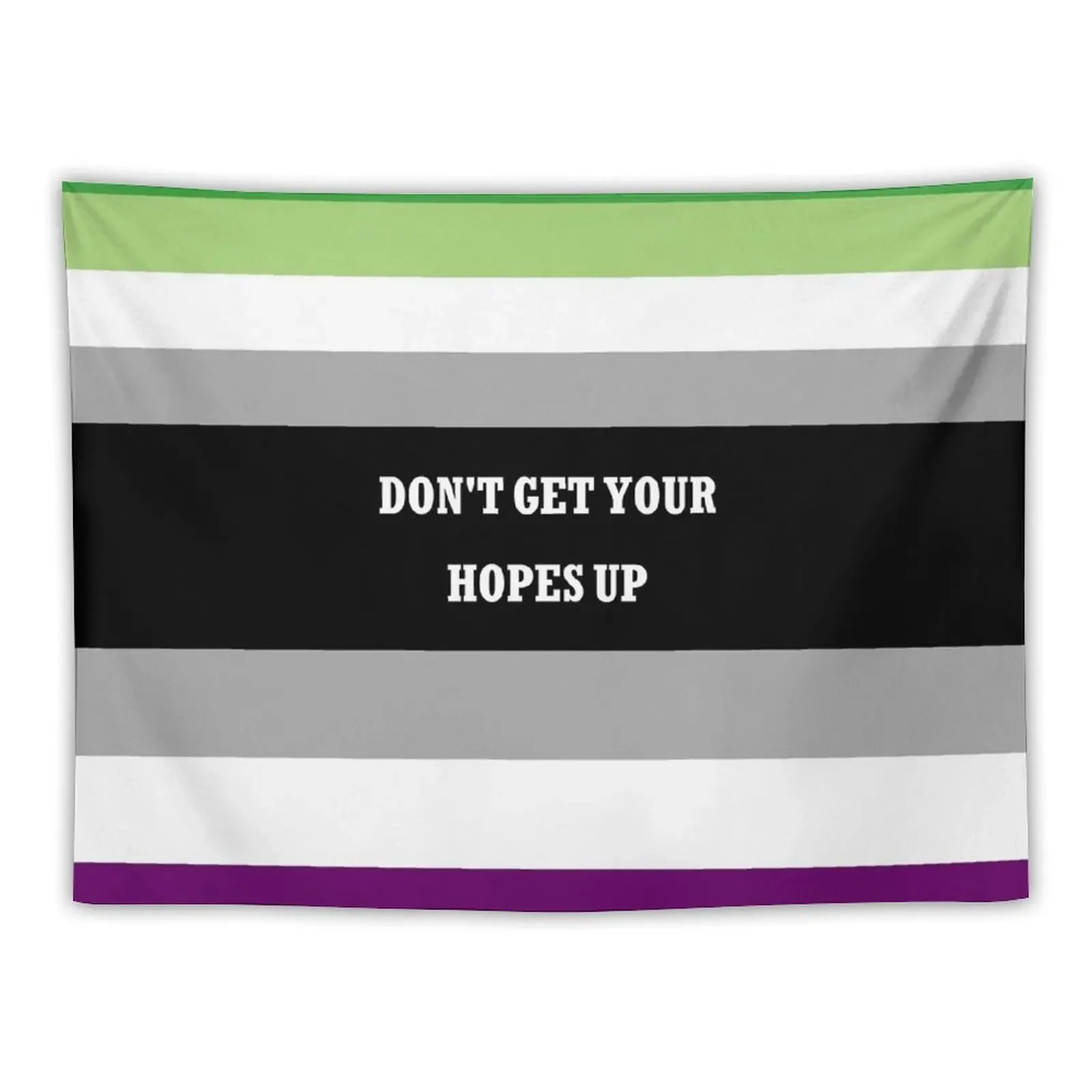 

Don't get your hopes up AroAce Flag Tapestry Wall Hanging Decor Wall Tapestries Tapestry