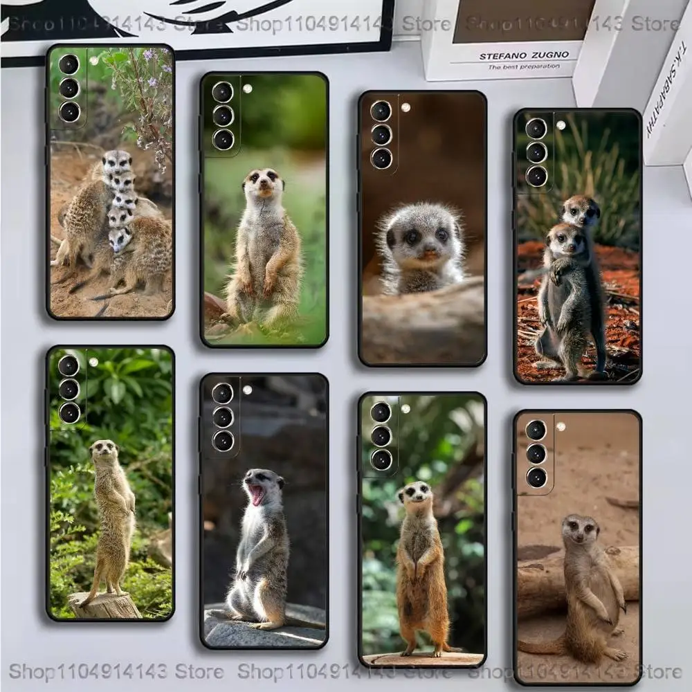 

Cute Baby Meerkat Phone Case For Samsung GalaxyA13,21s,22,31,32,52,53,71,72,73,Soft Black Cover