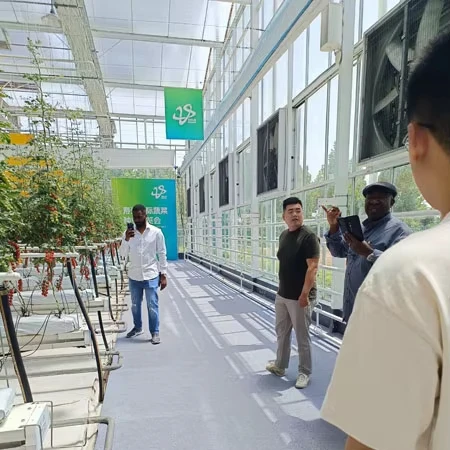 

Customized greenhouseMulti-span Glass Greenhouse with Suspended Planting Troughs for Hydroponic Cultivation of Tomatoes and Cucu