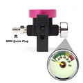 QD 250Bar Gauge