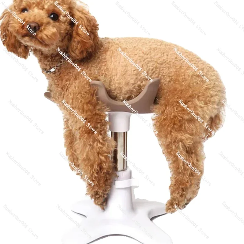 Pet bath holder, fixed table, hair dryer, beauty fixed table, base, shelf, beauty upright, floor standing