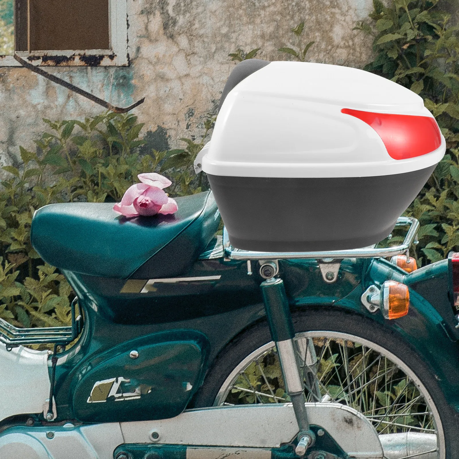 

1 комплект: Многофункциональный пластиковый органайзер для инструментов и аксессуаров для мотоцикла, крепление на заднее сиденье