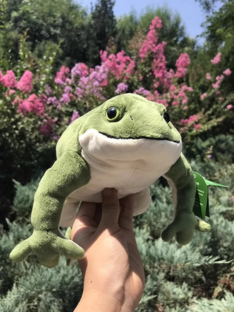 Bonito presente de aniversário menina sapo verde brinquedo de pelúcia grande macio dormir travesseiro sapo boneca decoração 22.8 polegada 58cm dy10295