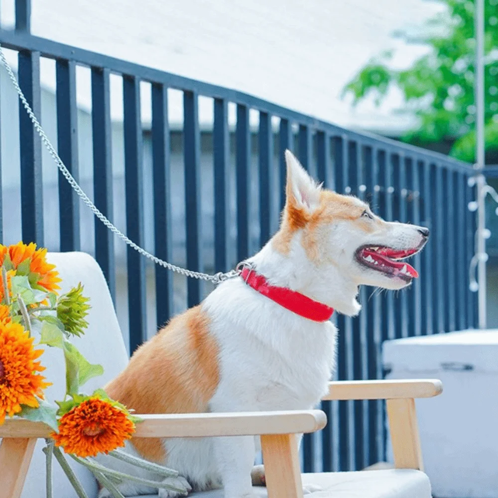 

Foam Collar Iron Dog Chain Anti-wear Bite Resistant Pet Dog Leash Adjustable Rust-proof Dog Traction Rope Walking The Dog