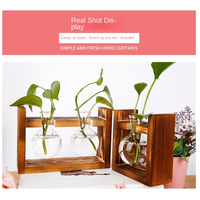 Bonsai Decoration Hydroponic Plants Vase Wooden Frame Transparent Flower Arrangement Container Flower Pot Tabletop Ornament