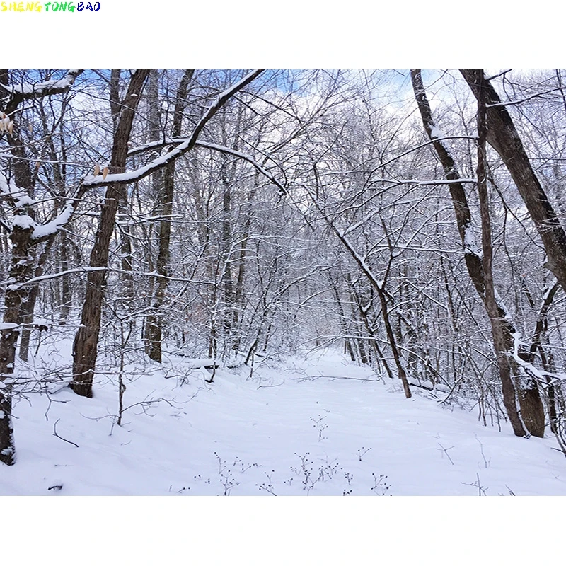 Winter Forest Snowcovered Road Photography Backdrops Blurred Landscape Snowflakes Road Spruce Trees Photo Background XD-09