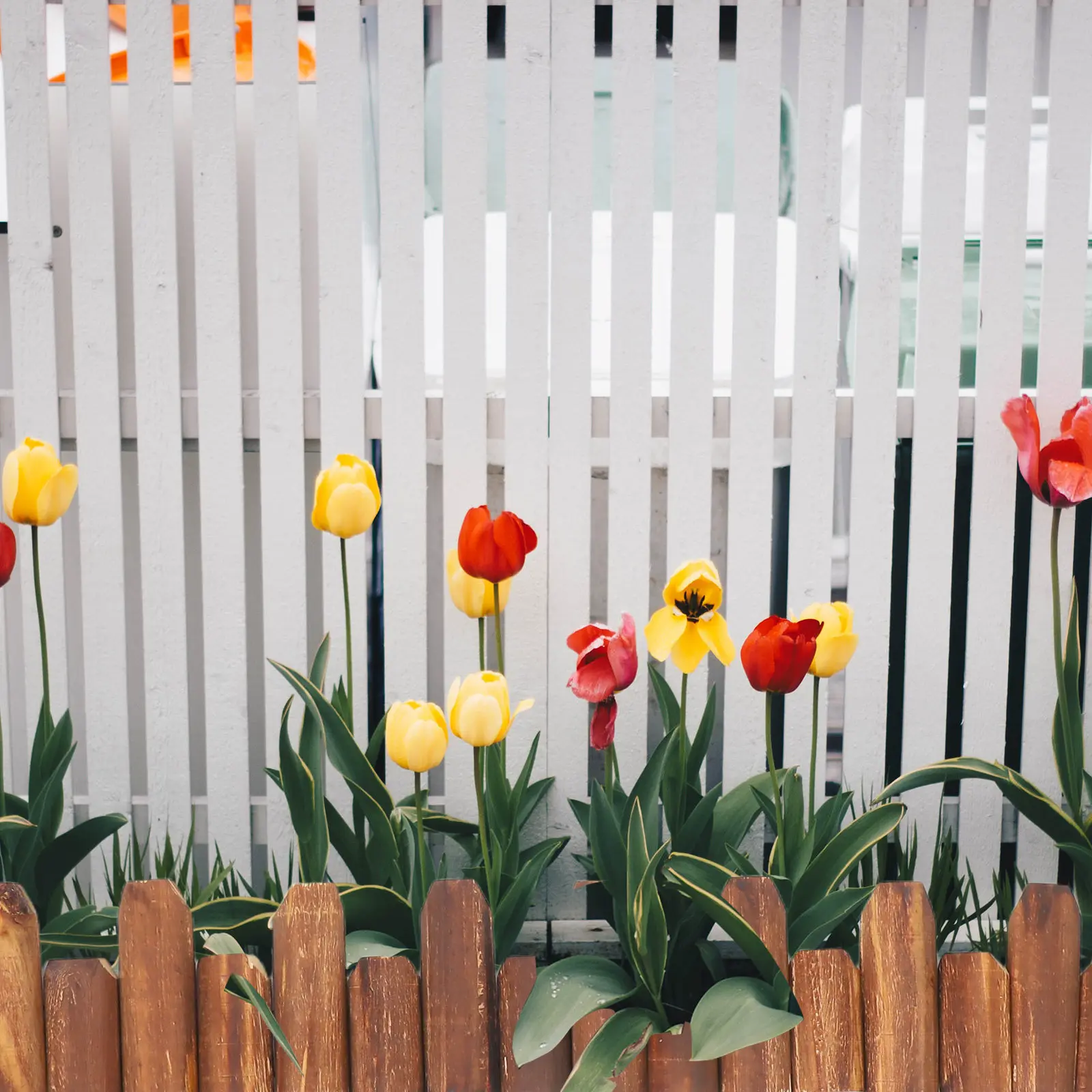 

Flower Bed Fence Bendable Wood Fence Garden Edging Border Decorative Fence Outdoor Landscaping Decor Barrier for Yard Patio Path