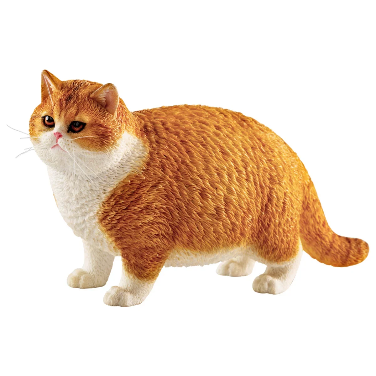 JXK 1:6 Scale Fat Cat Figure Cute Pet Animal Model Collector  Toy Gift Desktop Decor Shorthair  Trendy Ornaments