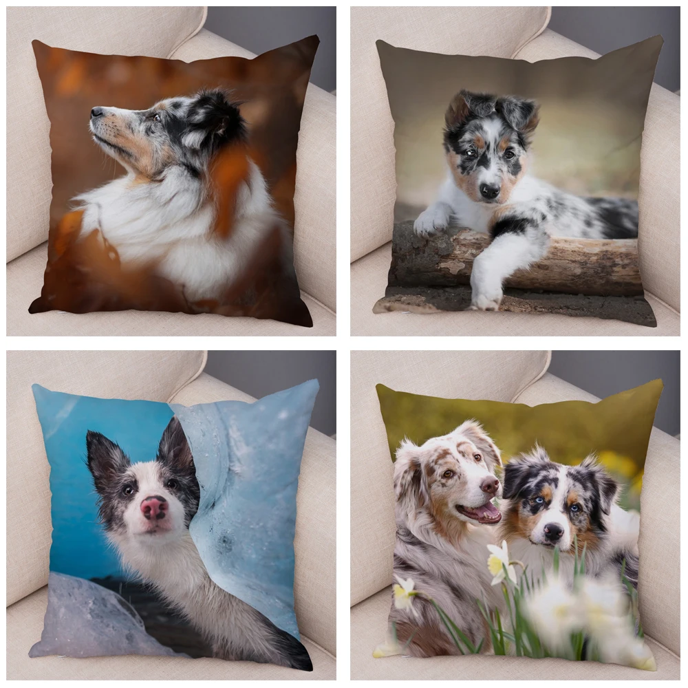 Australian Shepherd Pillowcase Cute Dog Animal  Cover Decorative Pet Sofa Cushion  Home