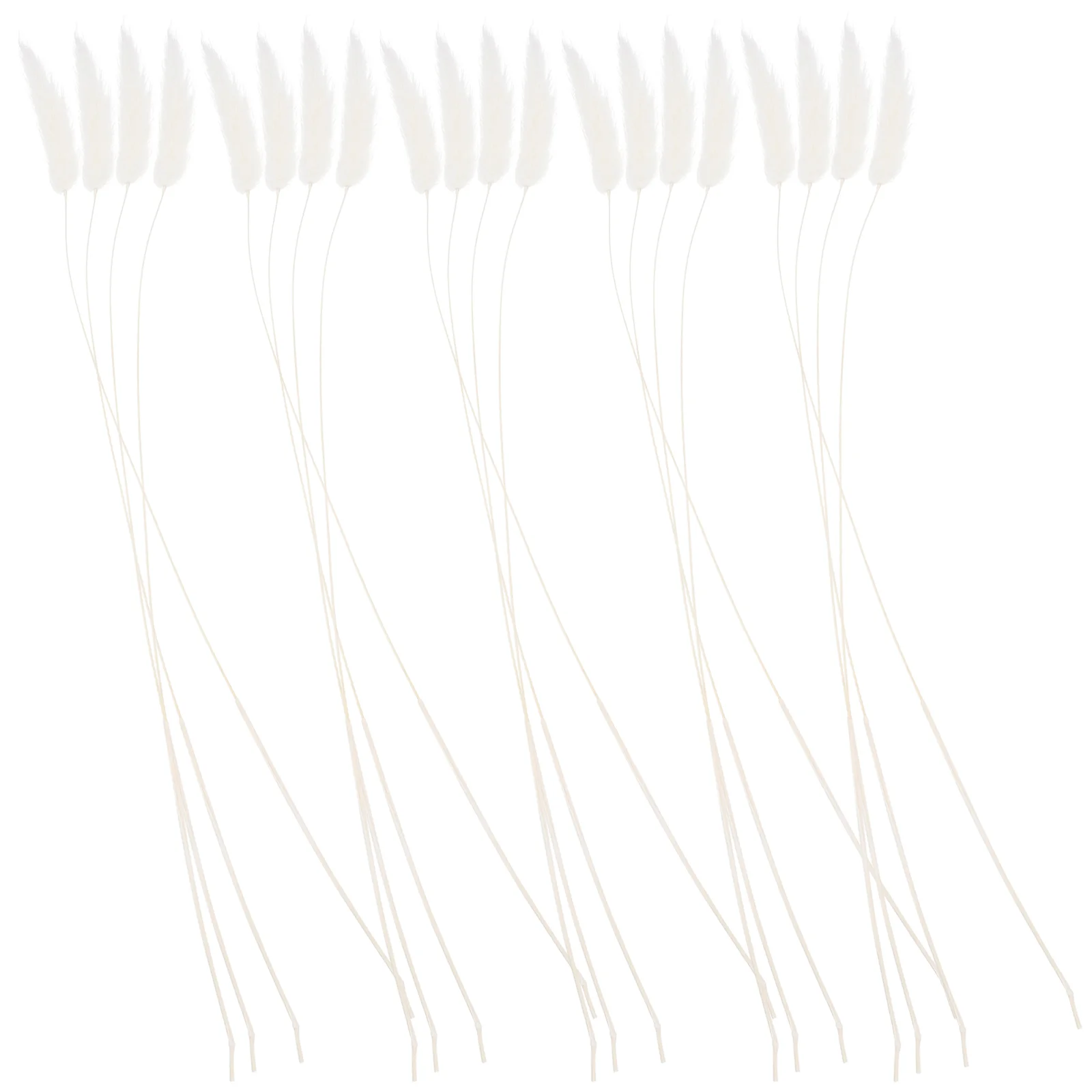

Natrual Flower for Photo Bunny Tail Natural Plants Arrangement Dried Grass Rabbit Pastoral Home Decor Wall