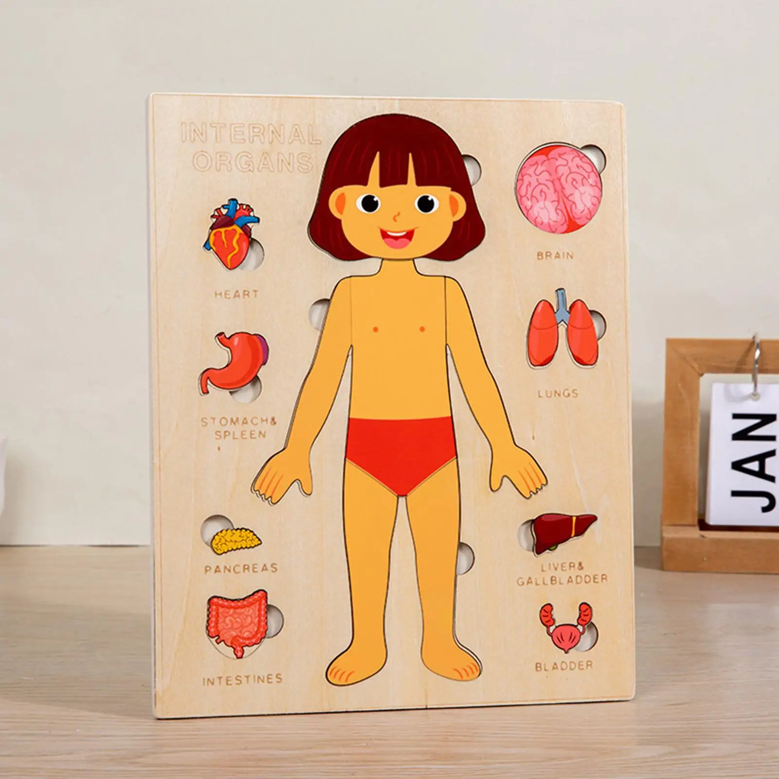 Livro de partes do corpo para crianças de 1 a 3 anos, quebra-cabeças educativos de madeira, brinquedos científicos para crianças pequenas, viagens, meninos, meninas, jovens