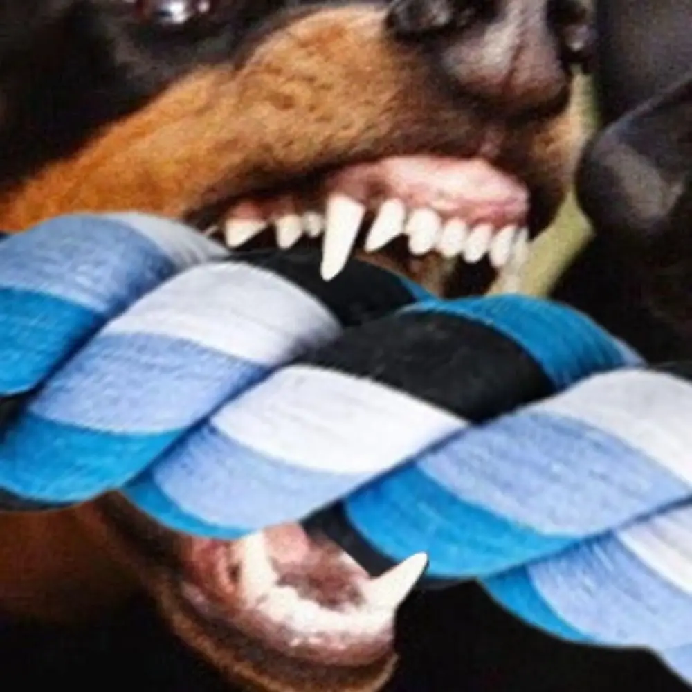 

Cotton Dog Chew Toy Teeth Cleaning Training Double Cotton Chew Knot Toys Pet Supplies Eco-Friendly Indestructible Dog Rope Toy
