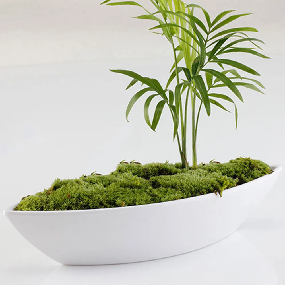 

30pcs Garden Tool Soil Shovel Spoon Thick Ergonomic Mirror Finish Durable Planting Tool For Succulents Microlandscape Art Dark