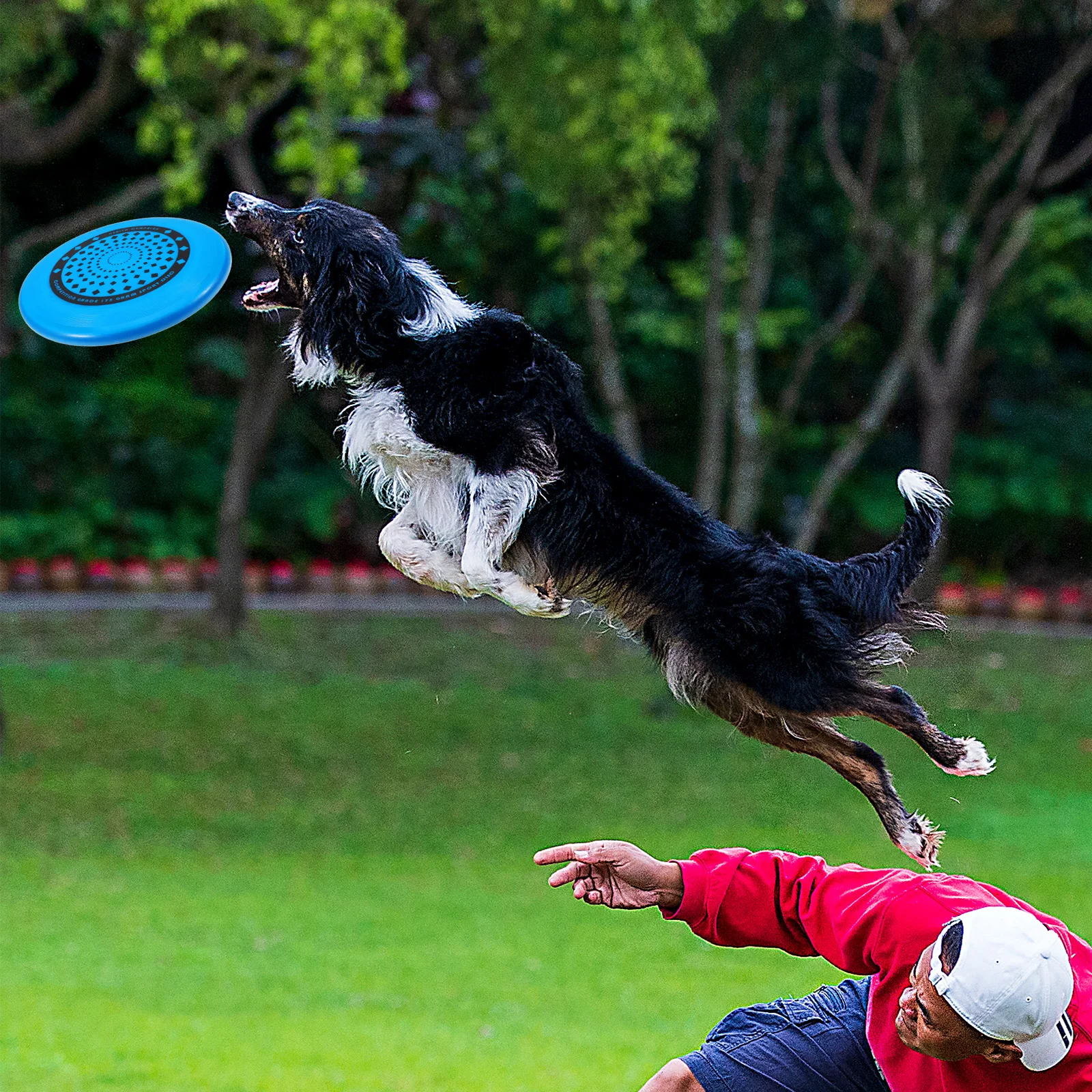 Professional 175g Competitive Disc Game Colorful Flying Ring Durable PE Beach Grass Outdoor Sports Family Training