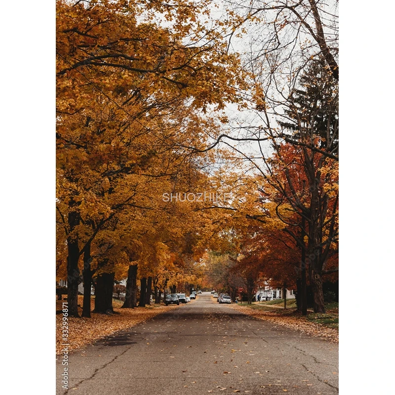 Backمشهد التصوير الخلفيات ، التصوير الدعائم ، صورة الزفاف ، خلفيات الصورة ، استوديو ، عرض الشارع الأوروبي ، JJD-09 ، 211229