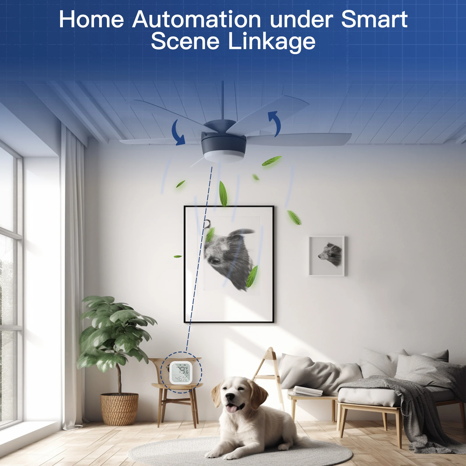 MOES Smart Wi-Fi Ceiling Fan Switch Module Control Fan and Light Separately with App or Voice Compatible with Alexa and Google