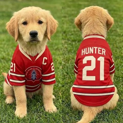 Dog Football Jersey Breathable Pet Sports Uniform Number Dog Shirt Summer Cool Puppy Clothes for Walking Training Outdoor Sporty