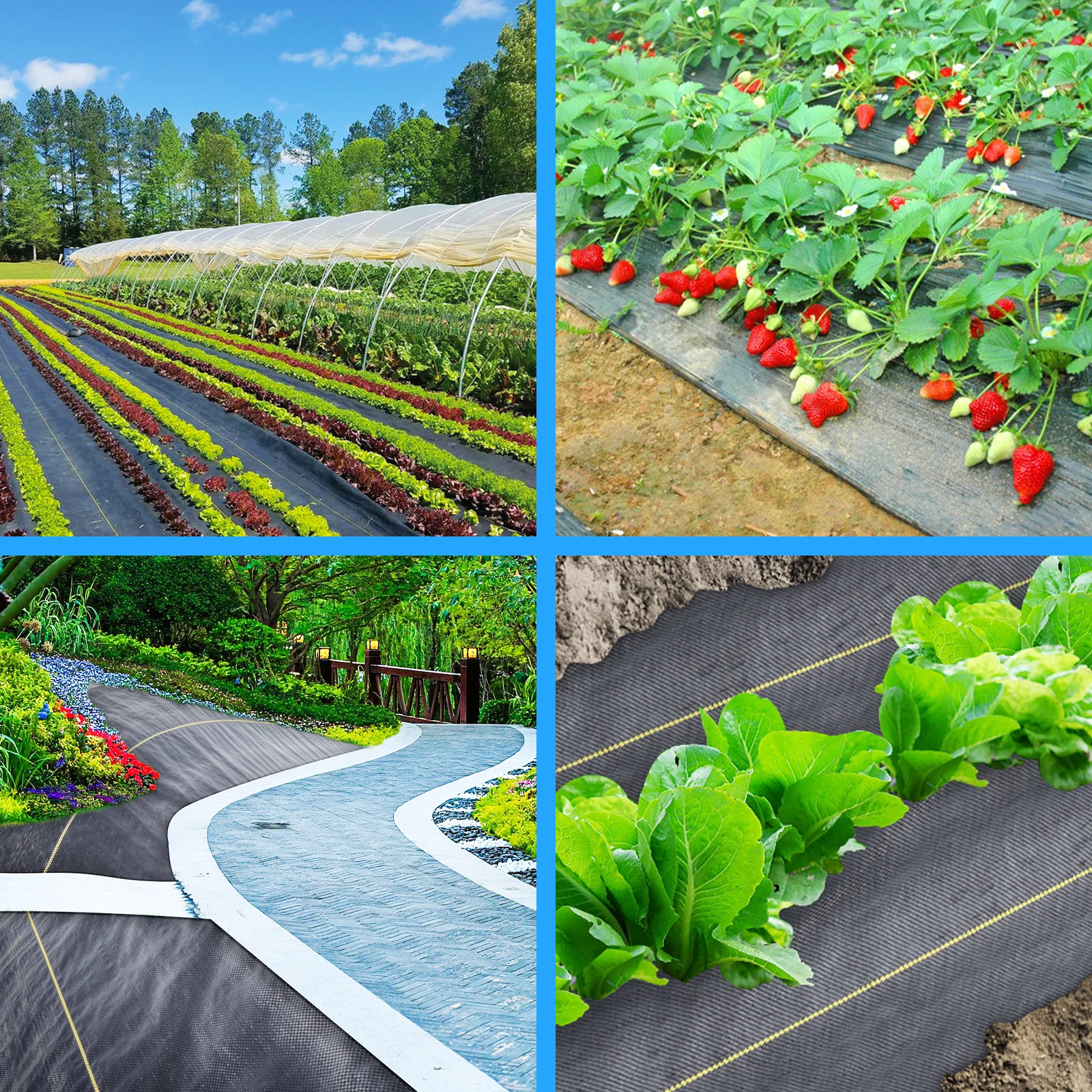 2025Hot Sale Weed Control Agriculture Fabric Anti-Weed Grass Plastic Mesh 4FT*300FT 70g