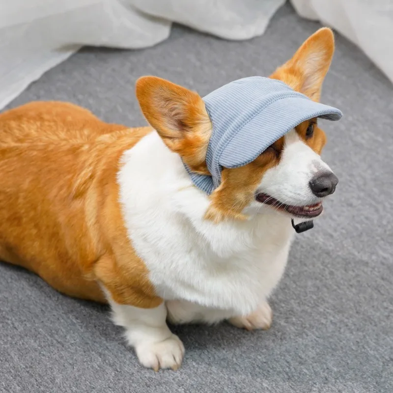 

Corduroy Baseball Dog Sunscreen Sun Hat for Dogs Corgi Teddy Outdoor Breathable All Seasons Birthday Dog Cat Hats Pet Accessory