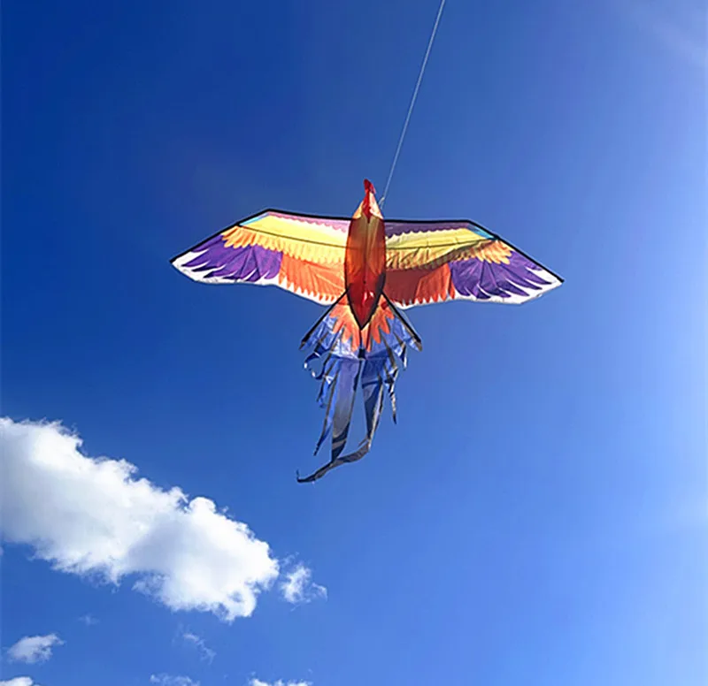 free shipping cock kites outdoor play cometas voladoras adulto ultra large kite basta juegos de mesa octopus kite show kites fun