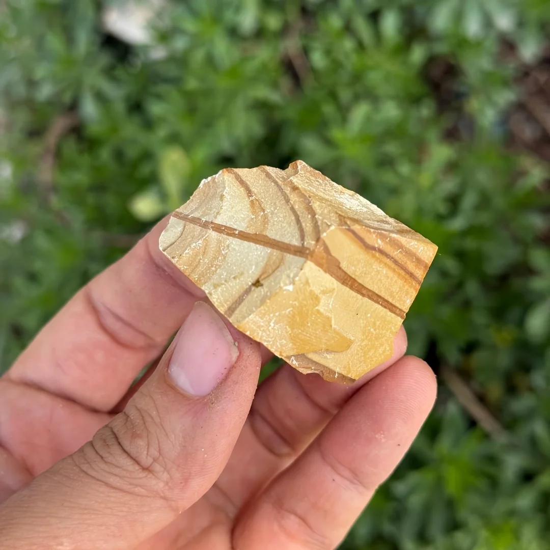 Natural Wood Grain Rough Stone Raw Mineral Specimen With Natural Wooden Vein Texture For Home Decor DIY Craft Reiki Healing Coll