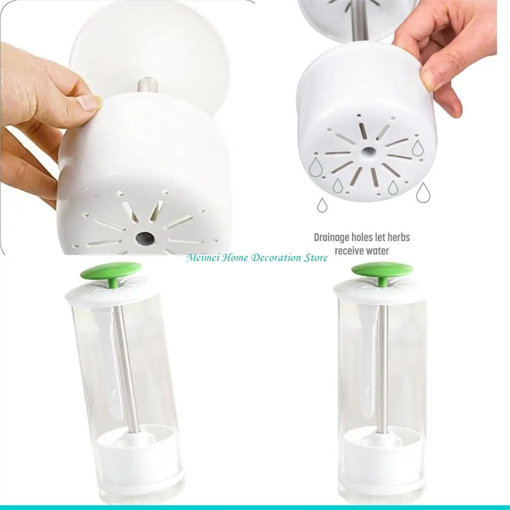 H7BF Current gastronomic Tool ABS Cilantro Box Contains Modifiable ventilation System