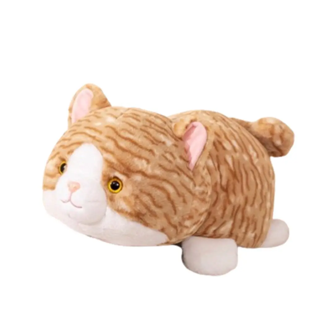 Jouets en peluche à double face, équation de retournement de requin, Krasnovie, animal en peluche, se transforme en raton laveur, jouets en peluche Kawaii, chat de transformation, 2 en 1