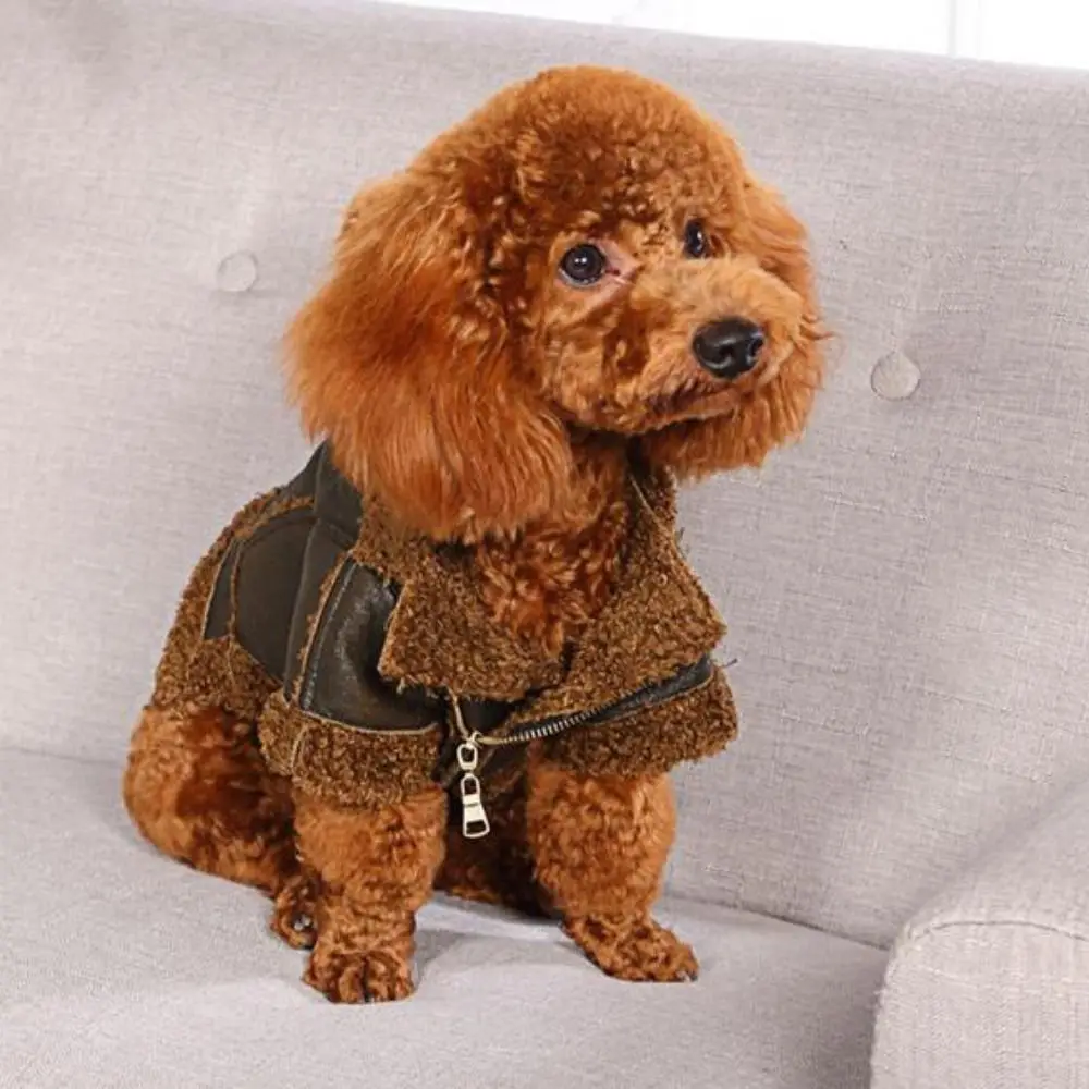 Fashion Thickened Dog Leather Jacket Coat Windproof Warm Dog Fur Jackets Velvet Dog Motorcycle Jacket For Autumn/Winter