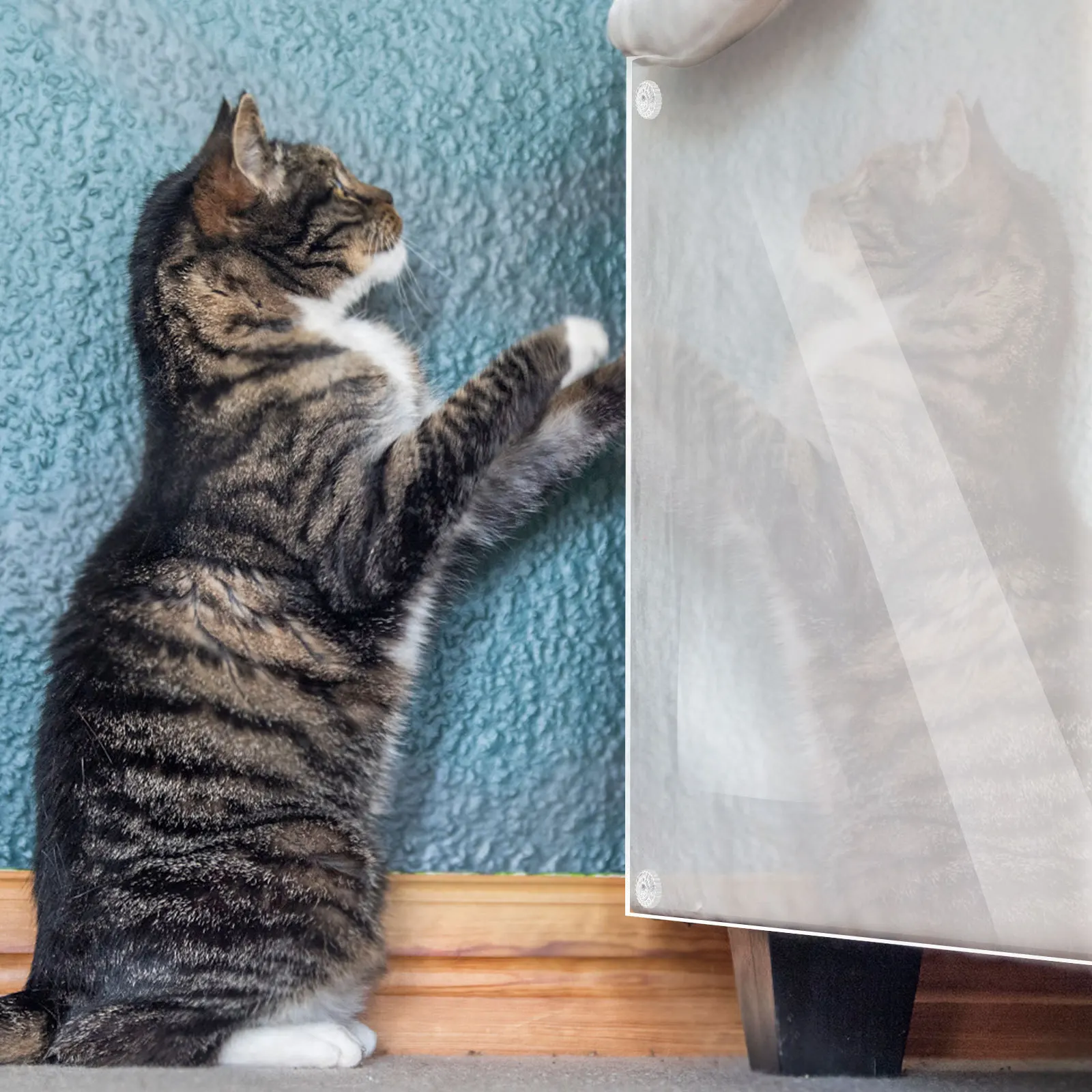 

15Pcs Transparent Cat Scratch Furniture Protector Strong PVC Sofa Cover Nails Couch Scratching Guard Scratch Protector