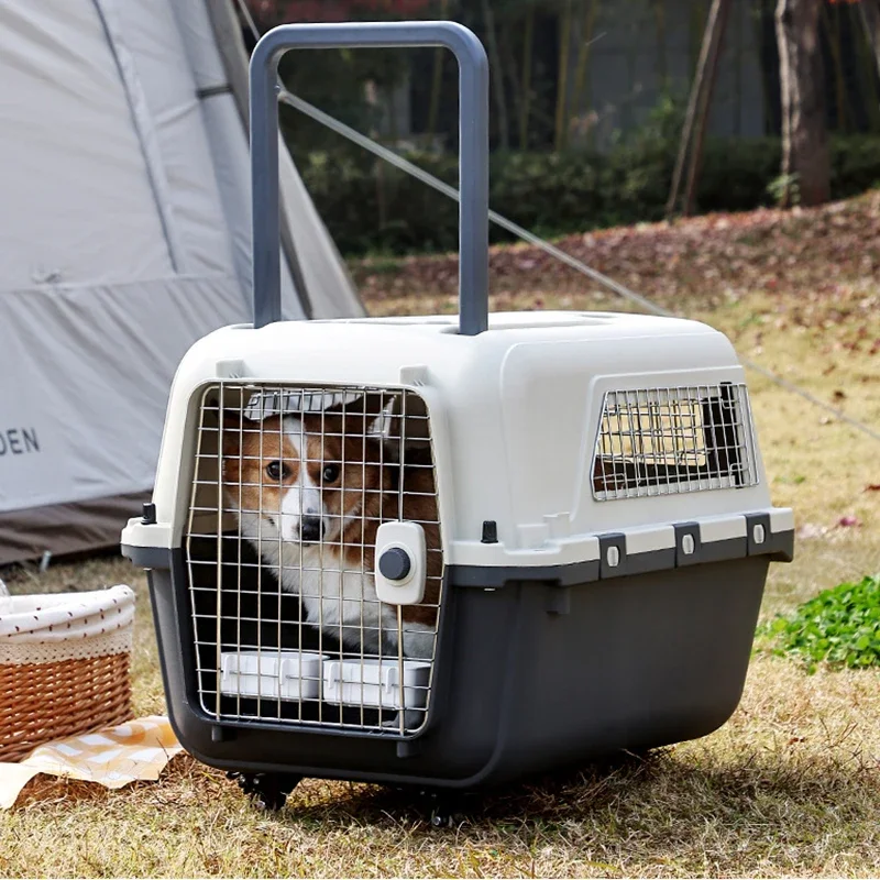 Wholesale Ventilate Large Capacity Portable Fence Type Pet Carrier Plastic Cat Dog Crate with Wheel