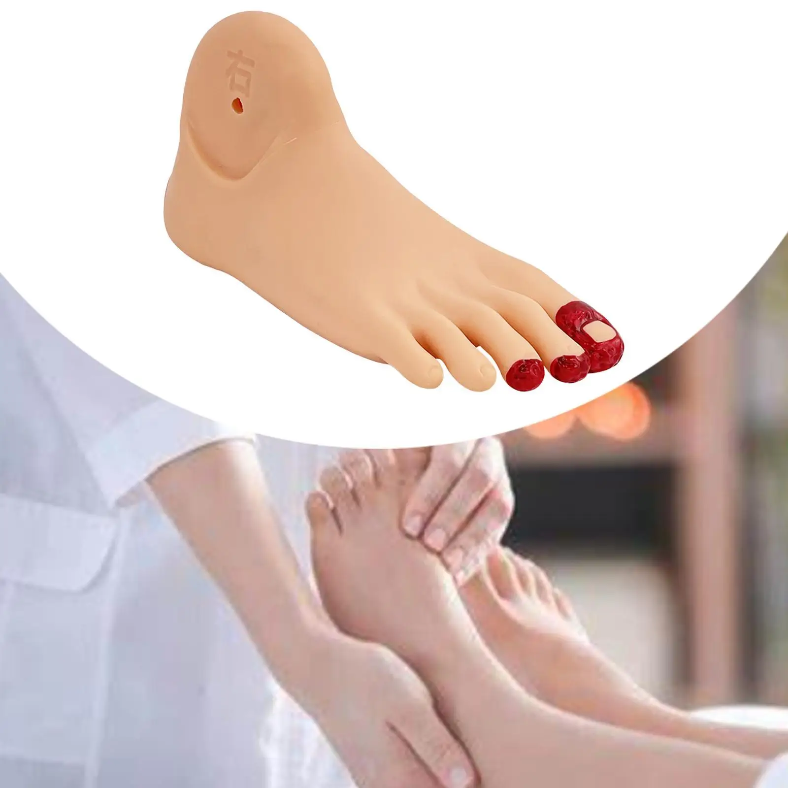 Diabetes Foot Model Diabetes Foot Care Model Supplies Educational Model Simulation Model Life Size, for Science Medical Study