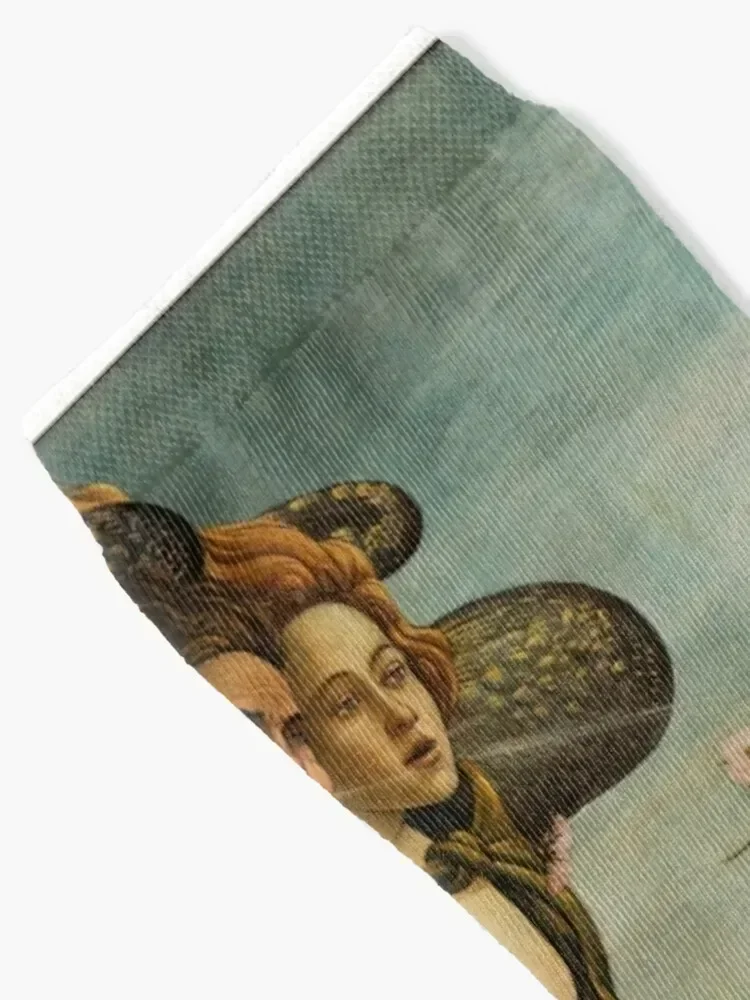 The Birth of Venus by Botticelli Socks winter thermal Heating sock Lots Socks For Women Men's