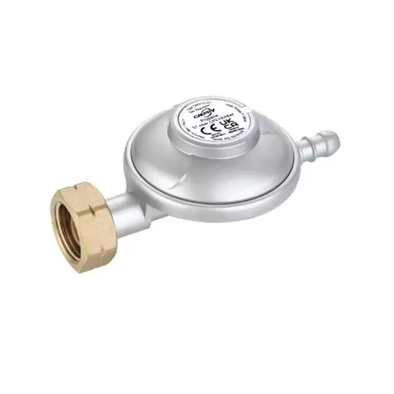 Low Pressure Gas Regulator for Russia Italy Israel Greece Home Kitchen Cooking BBQ Stove 30 37MBAR 1.5KG/H LPG Propane Gas Valve